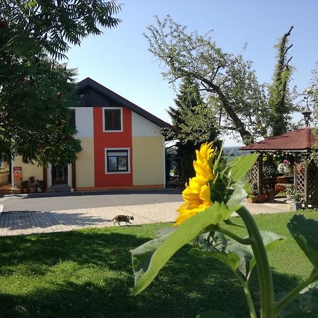 Готель Gastehaus Dobida Unterlamm  Екстер'єр фото