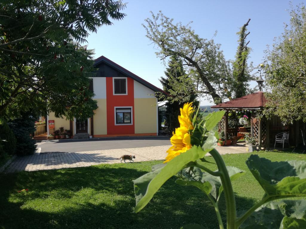 Готель Gastehaus Dobida Unterlamm  Екстер'єр фото
